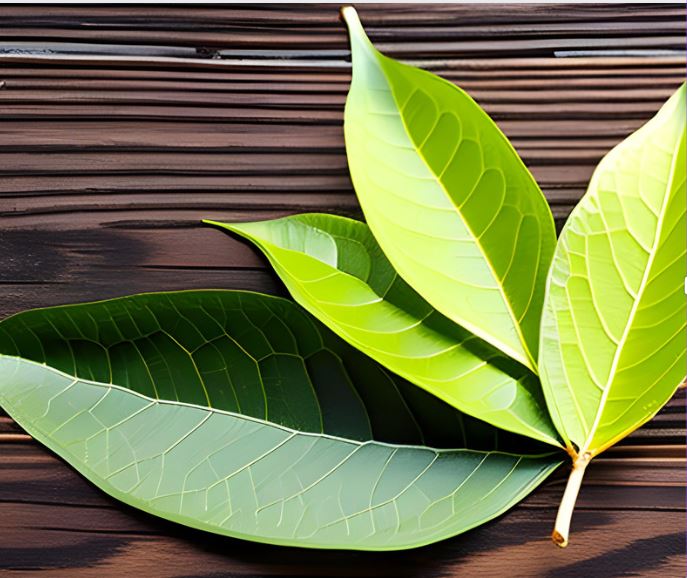 4-Step Easy Method for Manifesting Using Bay Leaves